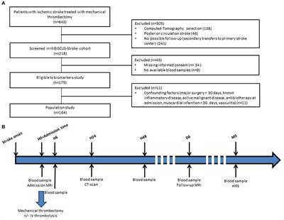 Matrix Metalloproteinase-9 Relationship With Infarct Growth and Hemorrhagic Transformation in the Era of Thrombectomy